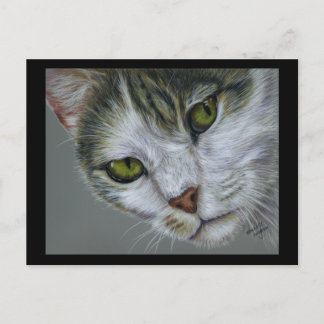Carte Postale Tara - Art Chat