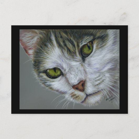 Carte Postale Tara - Art Chat (Devant)