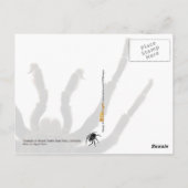 Carte Postale Tarantula (Dos)