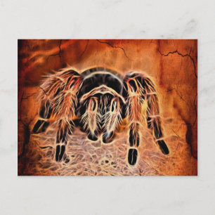Carte Postale Tarantule araignée effrayante d'Halloween gothique
