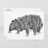 Carte Postale Tardigrade (Devant / Derrière)