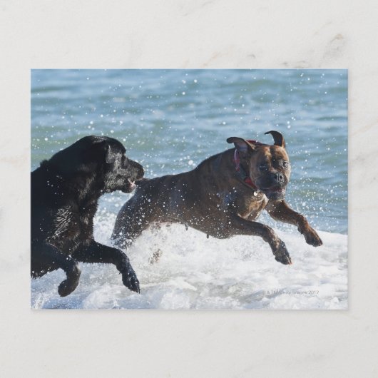 Carte Postale tarifs espagne (Devant)