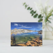 Carte Postale Tarn à l'ours noir - Sierra (Debout devant)