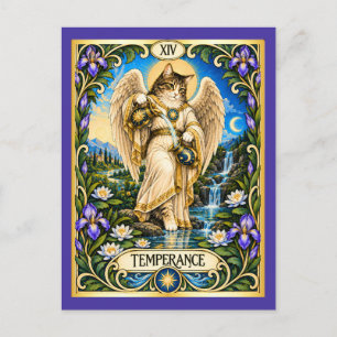 Carte Postale Tarot du chat de la tempérance - Harmonie et équil
