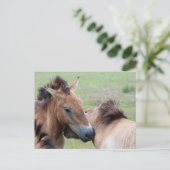 Carte Postale Tarpans (Debout devant)