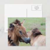 Carte Postale Tarpans (Devant / Derrière)