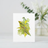 Carte Postale Tarpie verte commune (Debout devant)