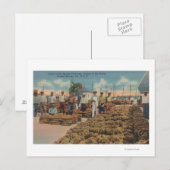 Carte Postale Tarpon Springs, FL - Scène de l'échange d'éponges (Devant / Derrière)