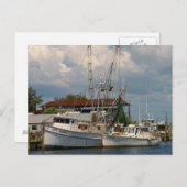 Carte Postale Tarpon Springs, Florida Post Cards (Devant / Derrière)