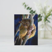 Carte Postale Tarsier (Debout devant)