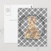 Carte Postale Tartan Scottie Blé (Devant / Derrière)