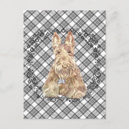 Carte Postale Tartan Scottie Blé (Devant)