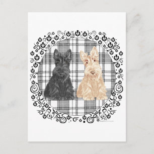 Carte Postale Tartan Scotties