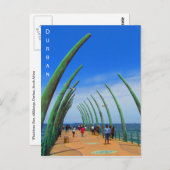 Carte Postale tarte à baleines à durban (Devant / Derrière)