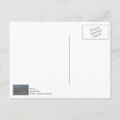 Carte Postale Tas de coquillages (Dos)