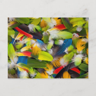 Carte Postale Tas de plumes colorées