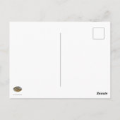 Carte Postale T'as des canards ? (Dos)