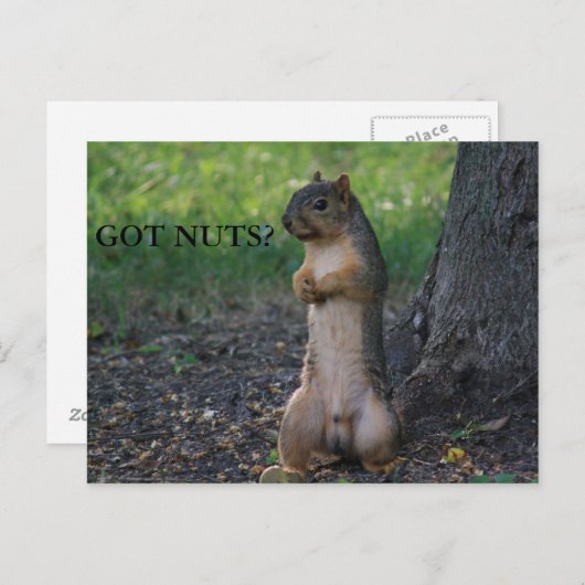 CARTE POSTALE T'AS DES NUTS ? (Devant / Derrière)