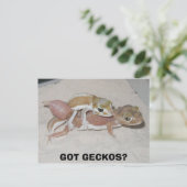 CARTE POSTALE T'AS GECKOS ? (Debout devant)