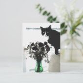 Carte Postale Tasha le chat Tuxedo (Debout devant)