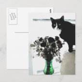 Carte Postale Tasha le chat Tuxedo (Devant / Derrière)