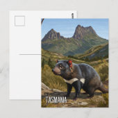 Carte Postale Tasmanian Devil Cradle Mountain Travel (Devant / Derrière)