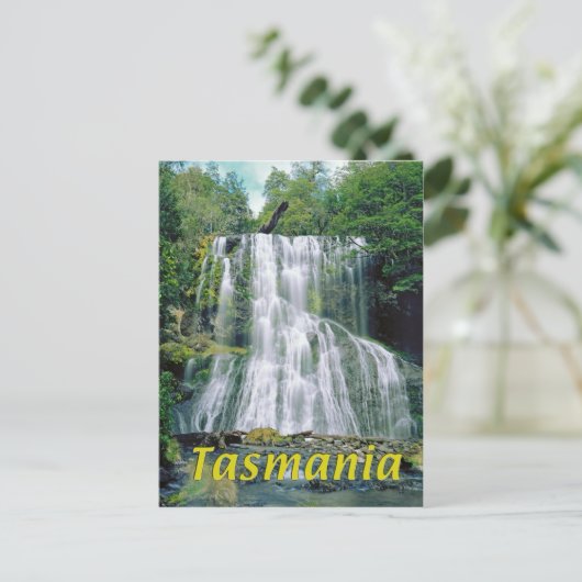 Carte Postale Tasmanie (Debout devant)