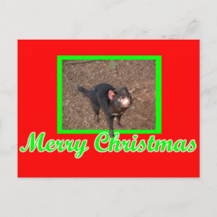 Carte Postale Tassie Devil
