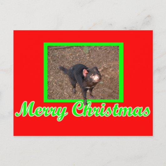 Carte Postale Tassie Devil (Devant)