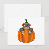 Carte Postale Taupe à la citrouille (Devant / Derrière)