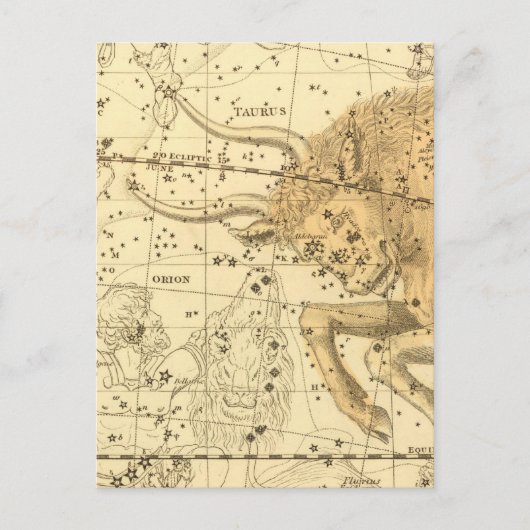 Carte Postale Taureau (Devant)