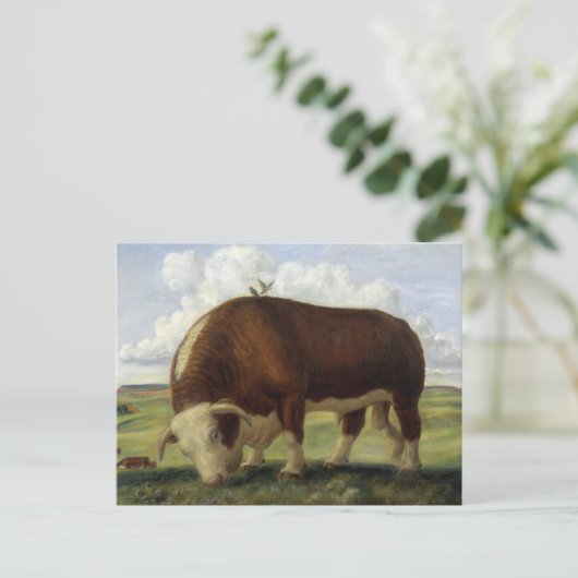 Carte Postale Taureau géant (Debout devant)