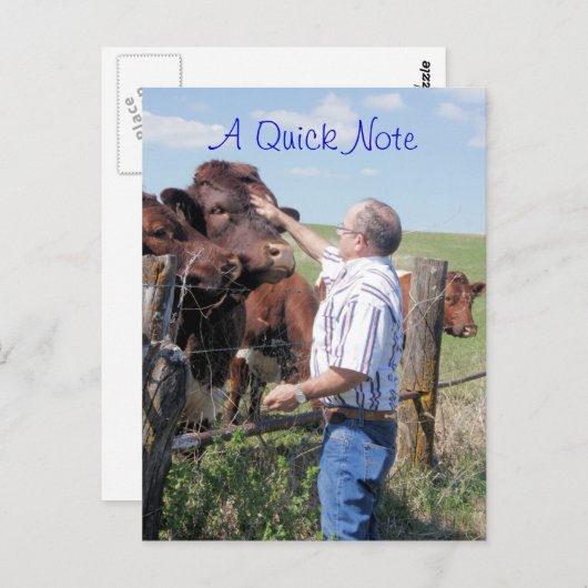 Carte Postale Taureau & Vaches Pinzgauer - personnaliser (Devant / Derrière)