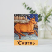 Carte Postale Taurus (Debout devant)