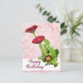 Carte Postale Tausendschön (Debout devant)