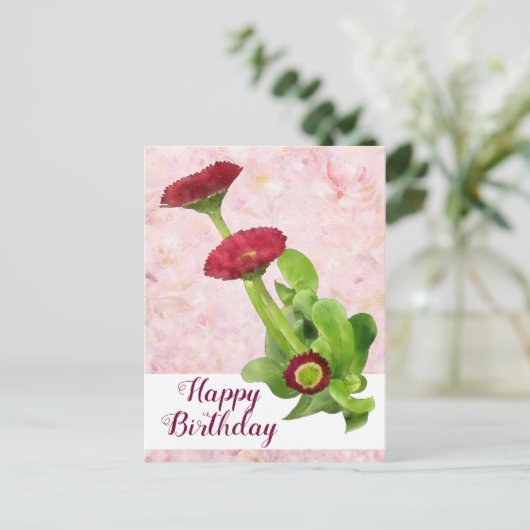 Carte Postale Tausendschön (Debout devant)