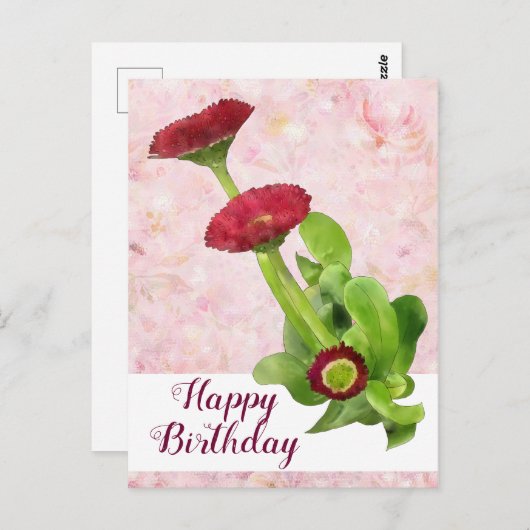 Carte Postale Tausendschön (Devant / Derrière)