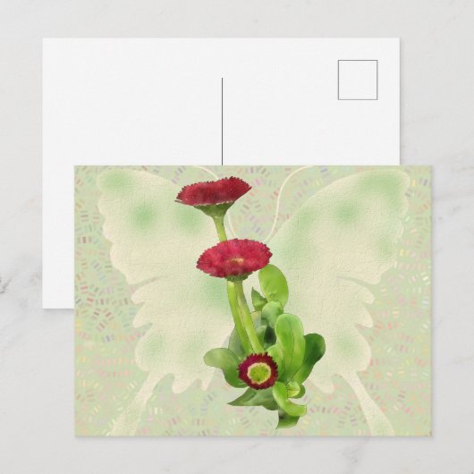 Carte Postale Tausendschön (Devant / Derrière)