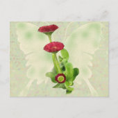 Carte Postale Tausendschön (Devant)