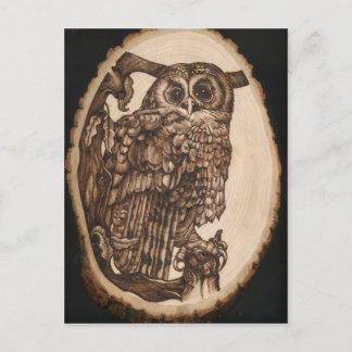 Carte Postale Tawny Owl