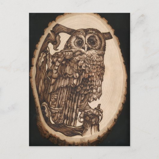 Carte Postale Tawny Owl (Devant)