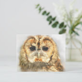 Carte Postale Tawny Owl (Debout devant)