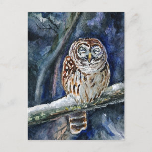 Carte Postale Tawny Owl aquarelle peinture