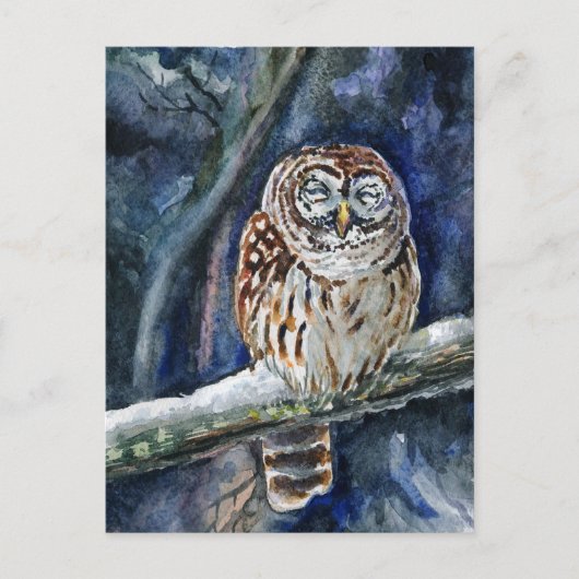 Carte Postale Tawny Owl aquarelle peinture (Devant)