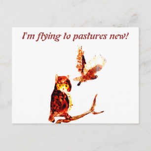 Carte Postale Tawny Owl Art Moving Home