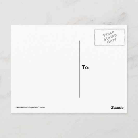 Carte Postale Taxi : Arrière - plan B&W (Dos)