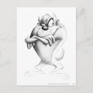 Carte Postale TAZ™ Drawing