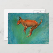 Carte Postale Tazzmaster (Devant / Derrière)