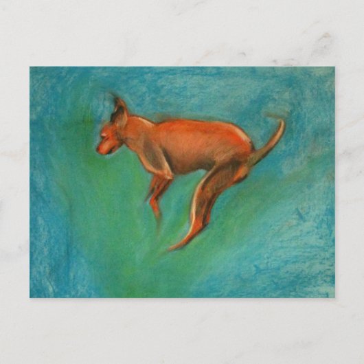 Carte Postale Tazzmaster (Devant)