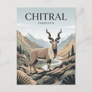 Carte Postale Tchitral Pakistan